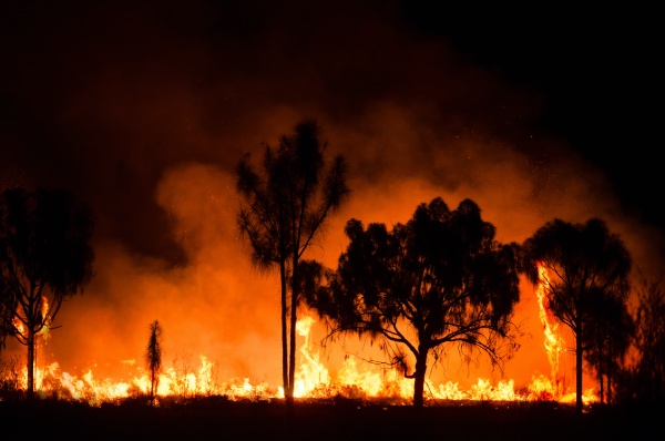 Bushfires 2020: Shipping Containers To The Rescue